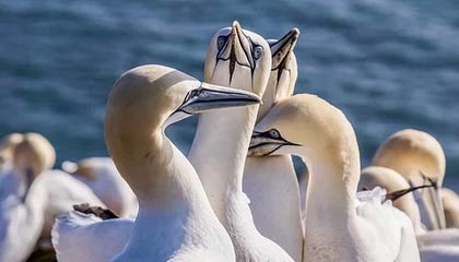 开云体育登入-迷你台球比赛：全民娱乐新潮流，小型台球