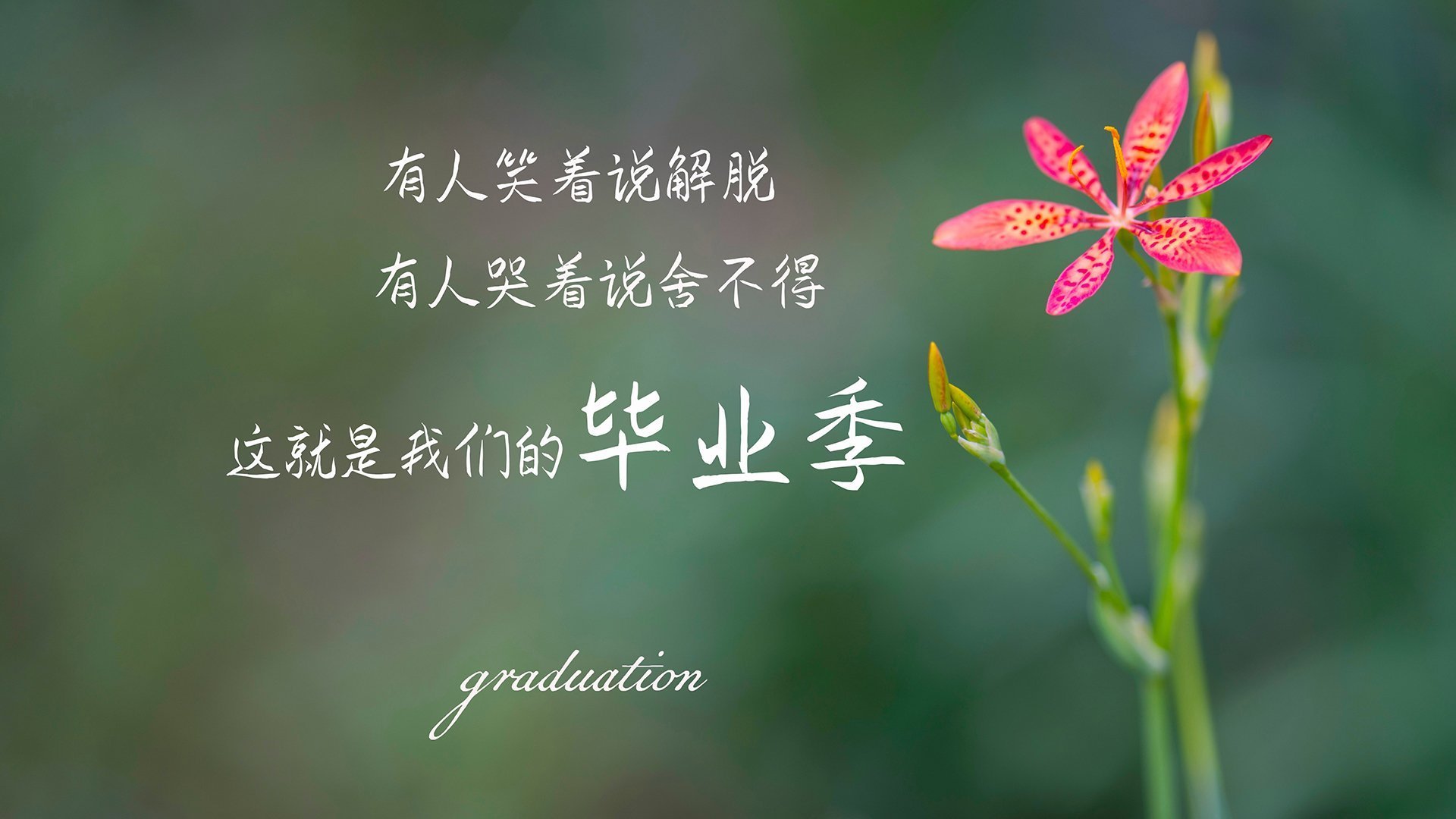 _魔术逆境奋起，连胜势头一发不可收拾_，2021魔术揭秘