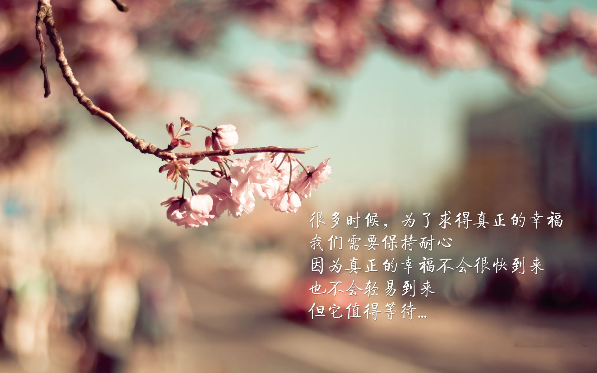 各大俱乐部战术升级，转会引援成为最佳选择，转会投入