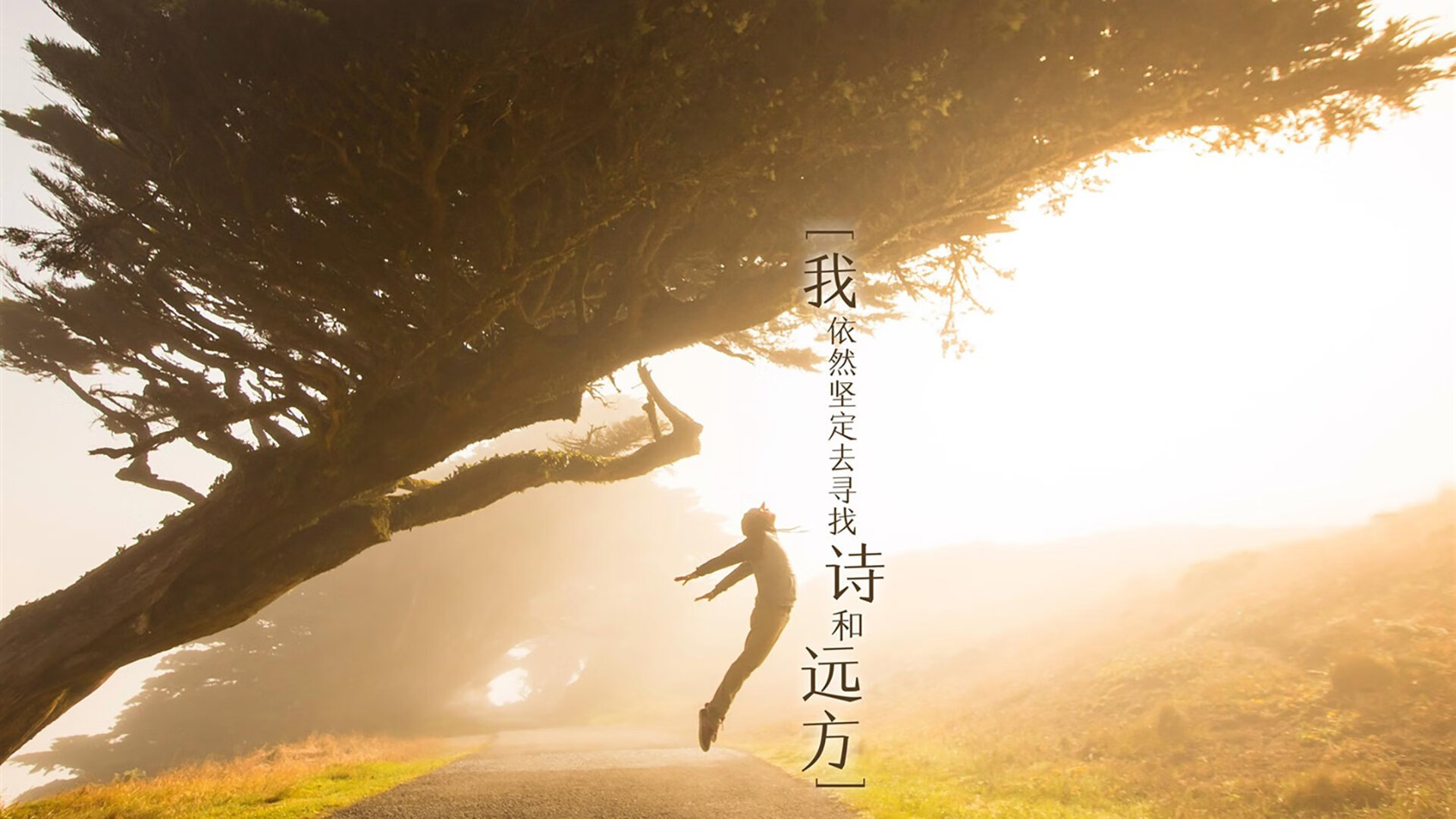 kaiyun官方入口登录-四国蝶泳划频对比揭示节奏差异，蝶泳四部分