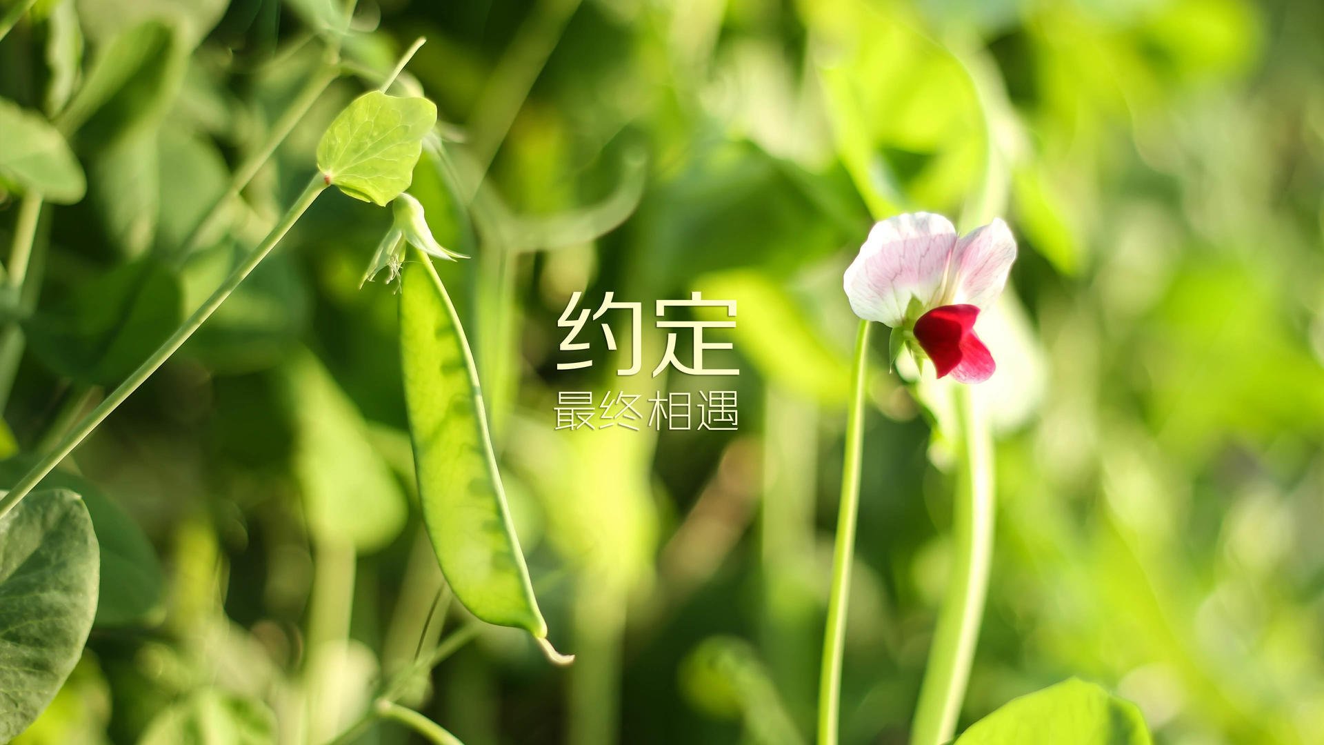 奥斯马尔·奥尔韦拉赛后透露备战细节，奥马尔是谁