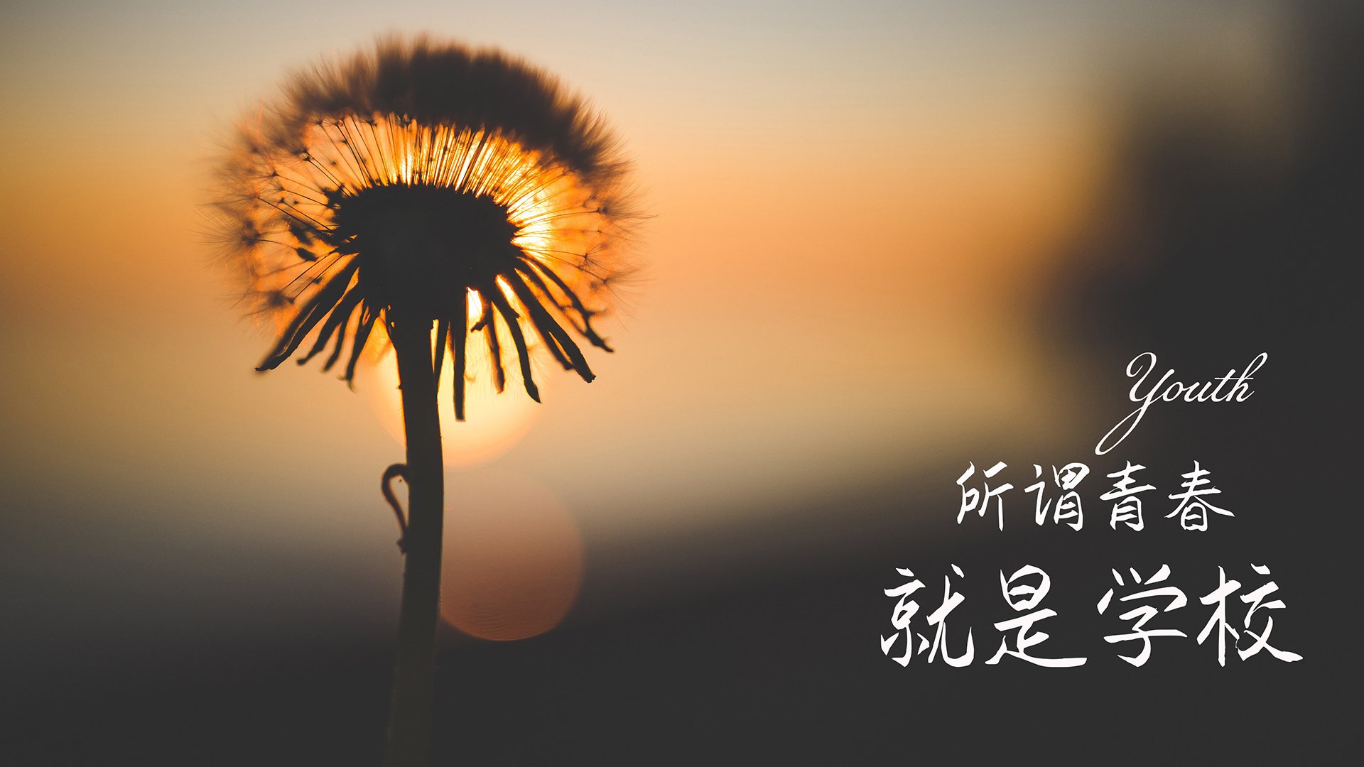 kaiyun 开云体育-库里完成绝杀NBA总决赛，库里nba绝杀的比赛